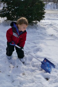 snowshovel2