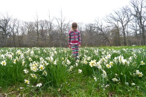 daffygirl