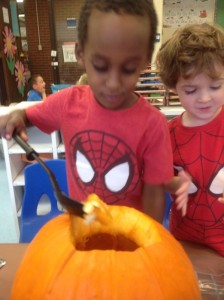 pumpkinscience1